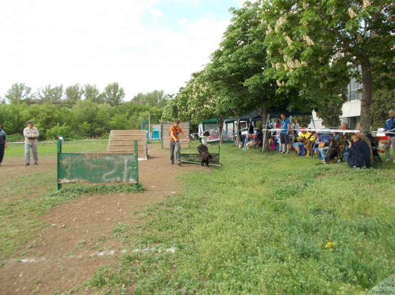 Фотография № 153493