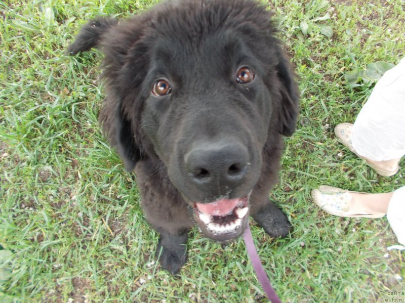 Фотография № 153494