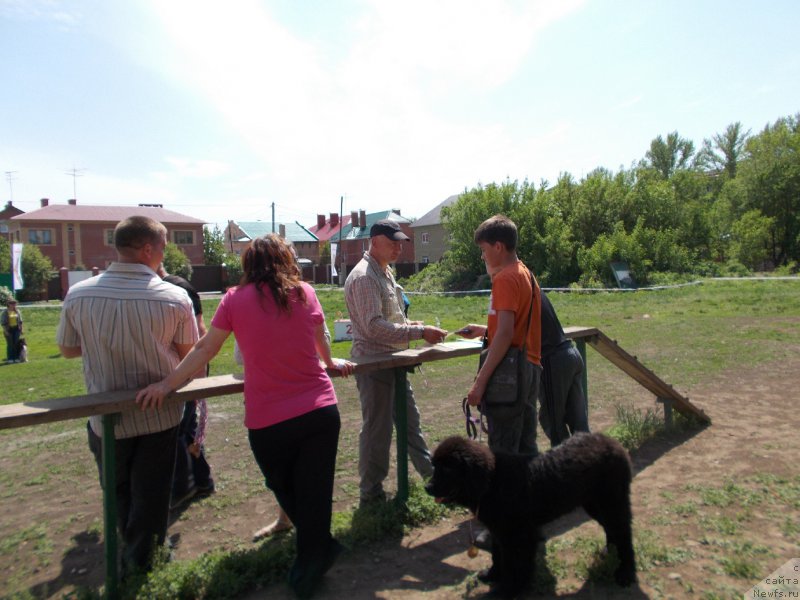 Фотография № 153495