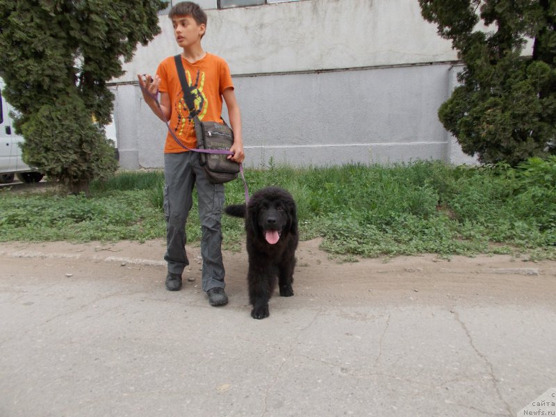 Фотография № 153497