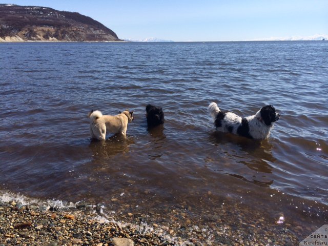 Фотография № 153498