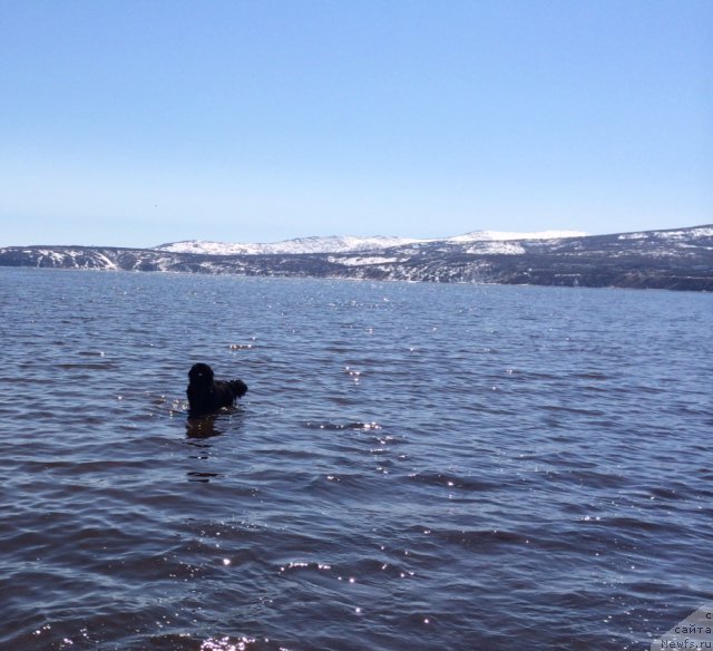 Фотография № 153499