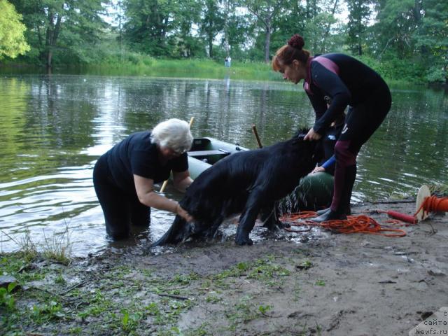 Фотография № 15350