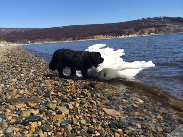 Фотография № 153500