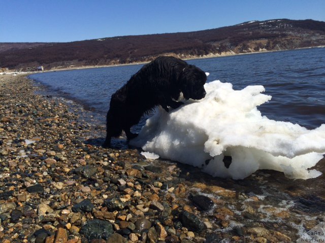 Фотография № 153501