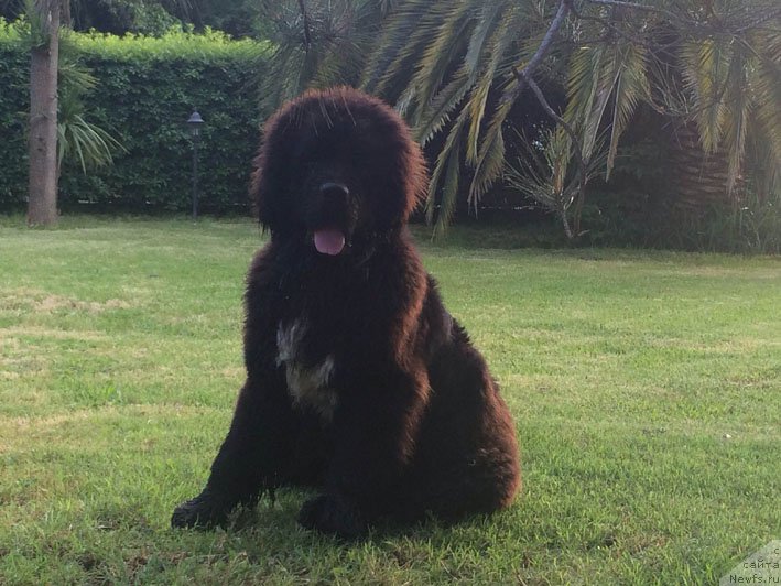 Фотография № 153502