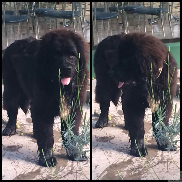 Фотография № 153503