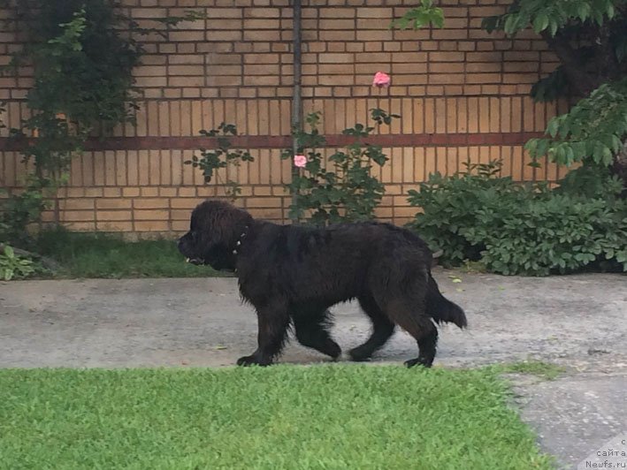 Фотография № 153504