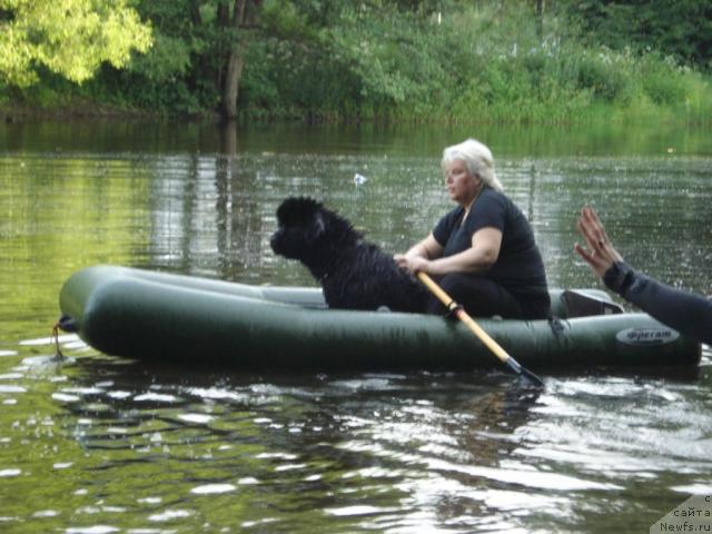 Фотография № 15352