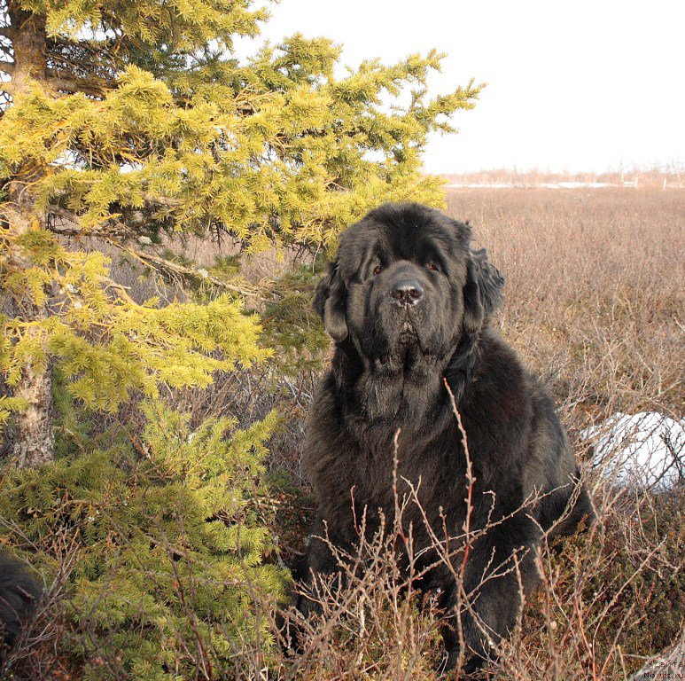 Фотография № 153536