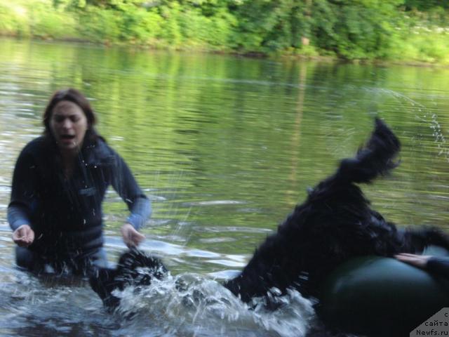 Фотография № 15354