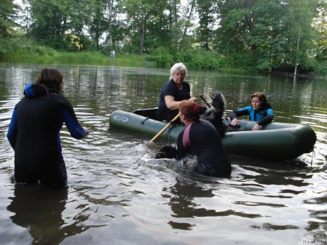 Фотография № 15355