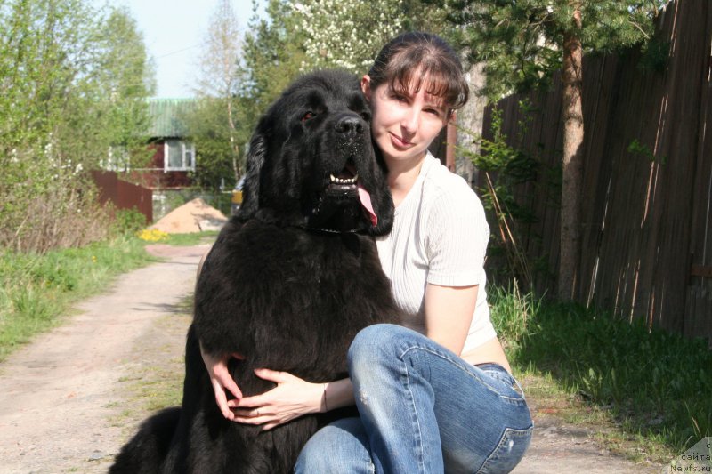 Фотография № 153565