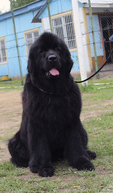 Фотография № 153578