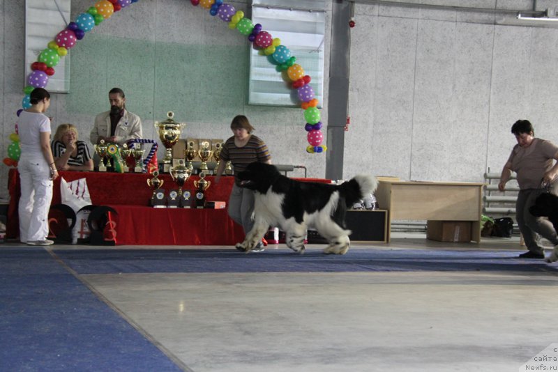 Фотография № 153583