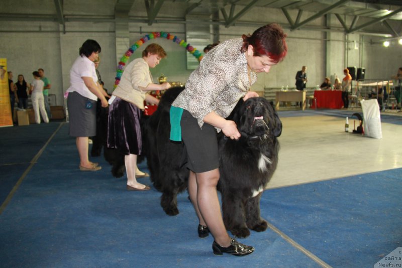 Фотография № 153584