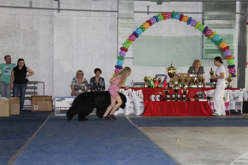 Фотография № 153585