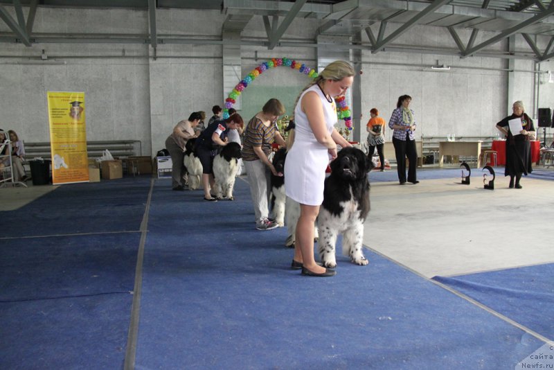 Фотография № 153589