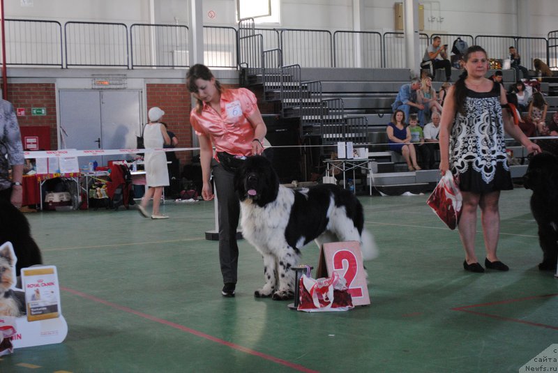 Фотография № 153606