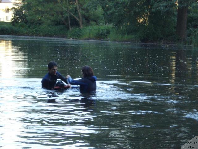 Фотография № 15361