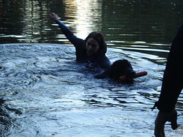 Фотография № 15362