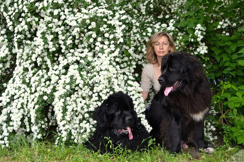 Фотография № 153622