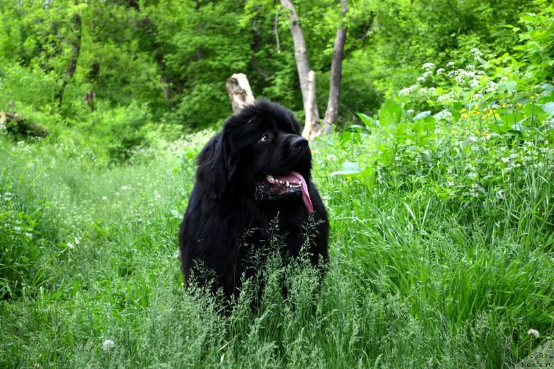 Фотография № 153633