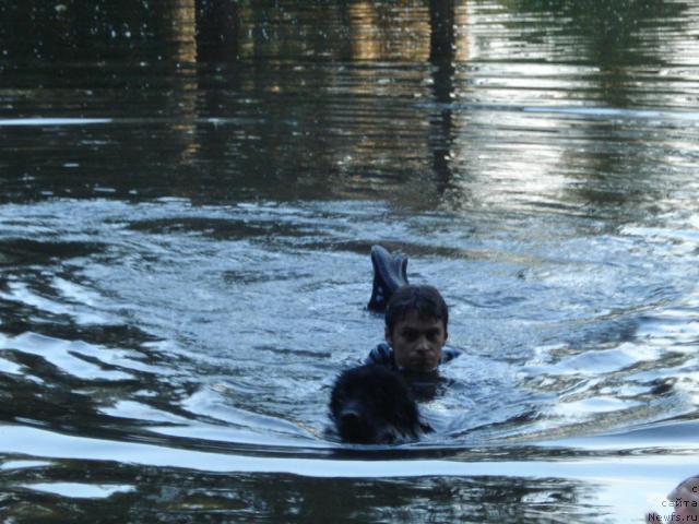 Фотография № 15364