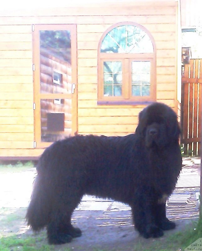 Фотография № 153643