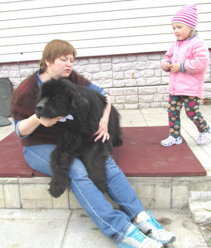 Фотография № 153647