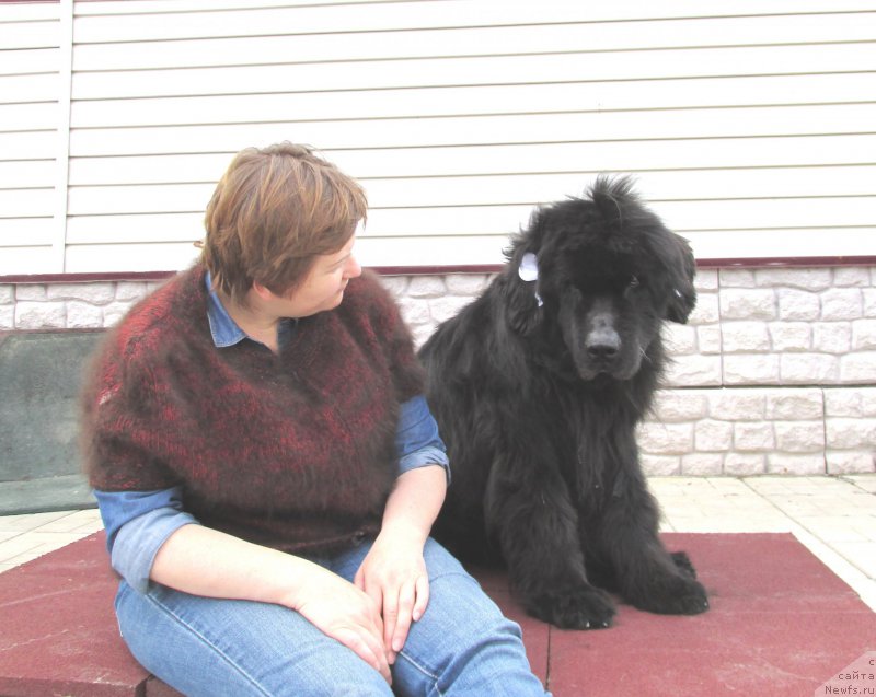 Фотография № 153649