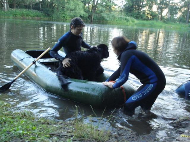 Фотография № 15366