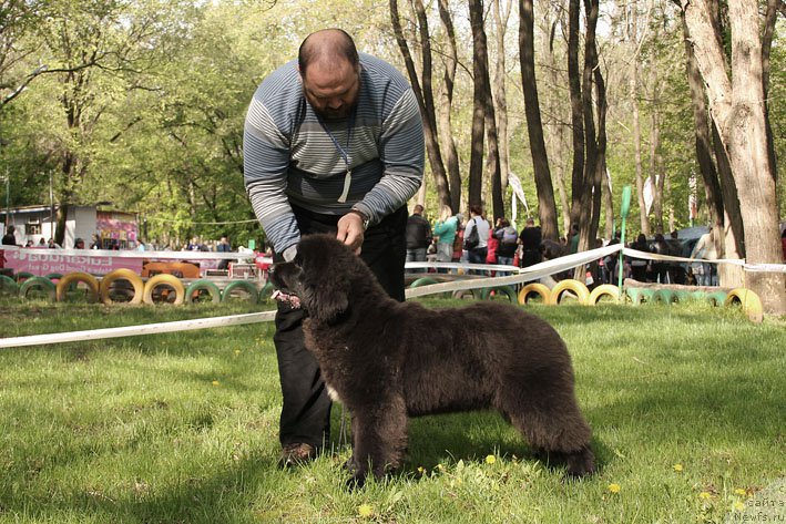 Фотография № 153664