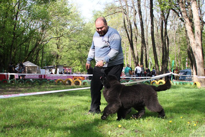 Фотография № 153665