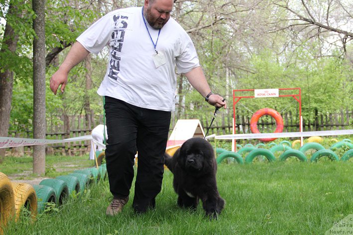 Фотография № 153666