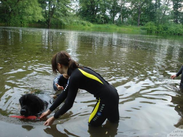 Фотография № 15368