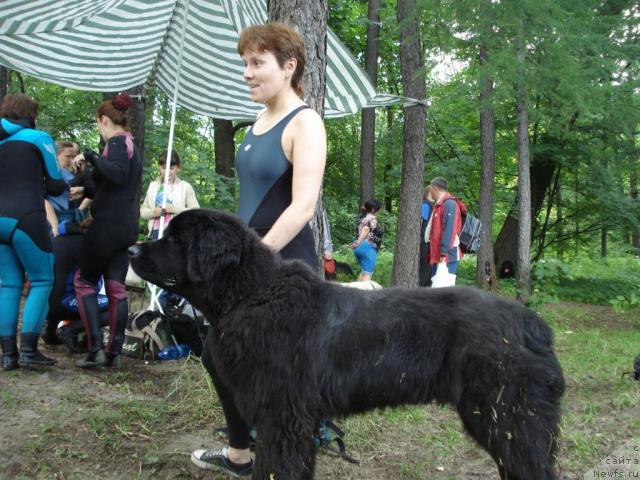 Фотография № 15369