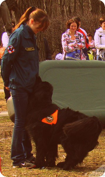 Фотография № 153694