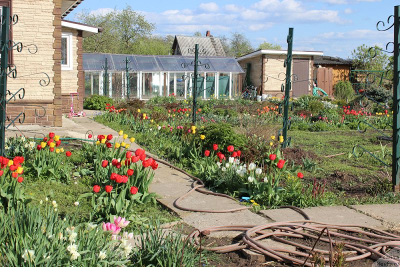 Фотография № 153740