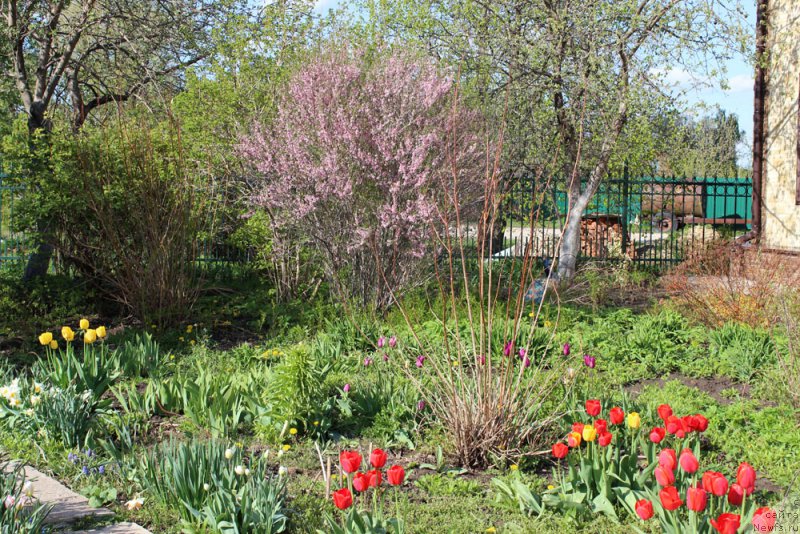 Фотография № 153741