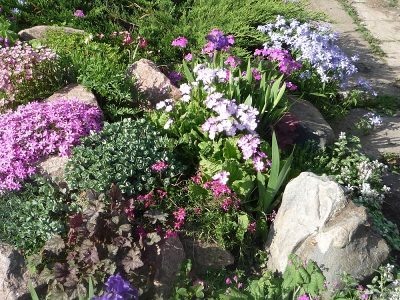 Фотография № 153742