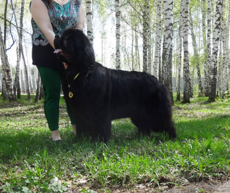 Фотография № 153759