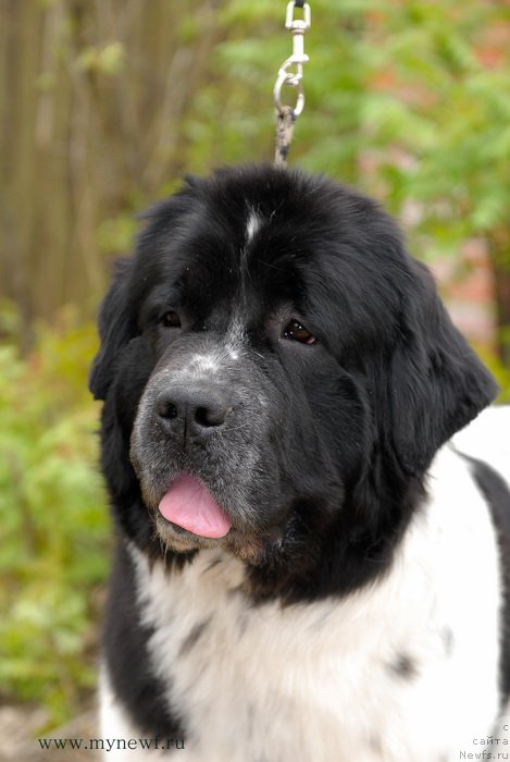 Фотография № 153855