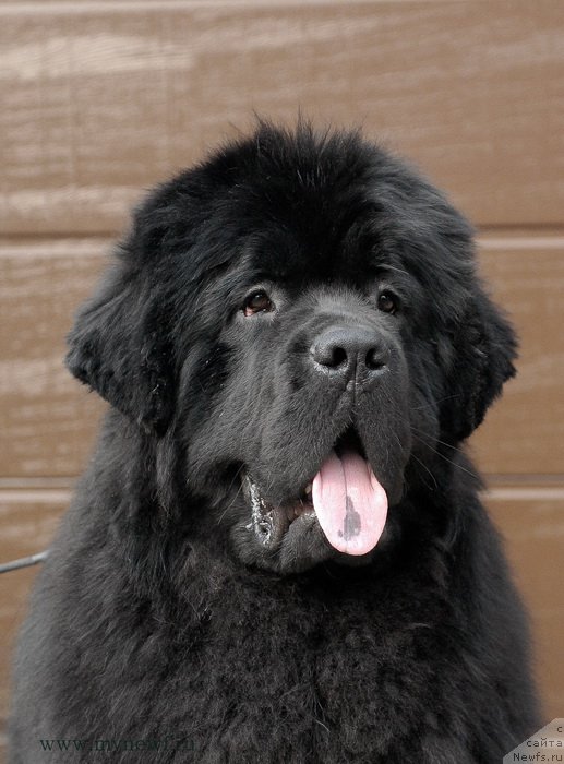 Фотография № 153863