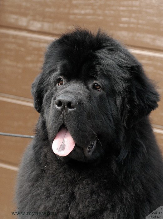 Фотография № 153868