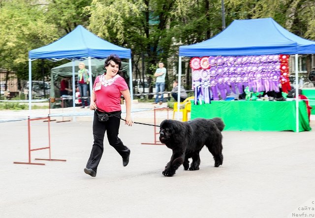 Фотография № 153875