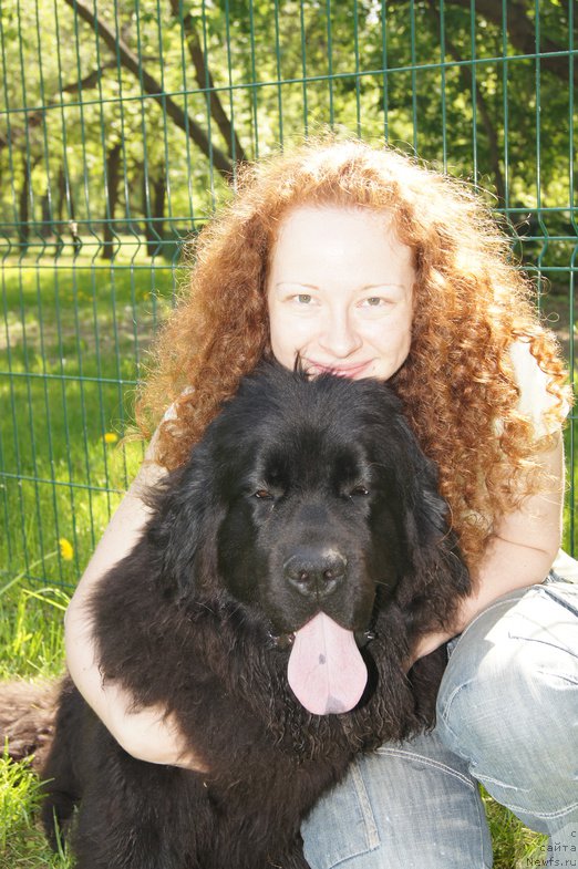 Фото: ньюфаундленд Сент Джонс Жозайя Валери