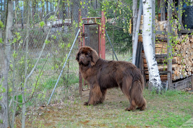 Фотография № 153889