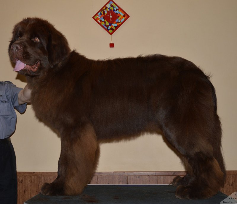 Фотография № 153896