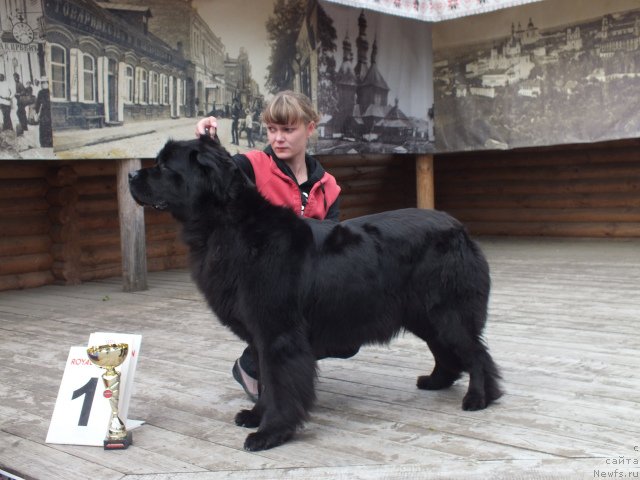 Фотография № 153897